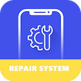 Repair System Software